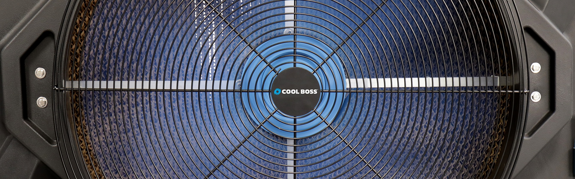 Cool Boss Story