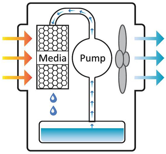 How do evaporative coolers work?